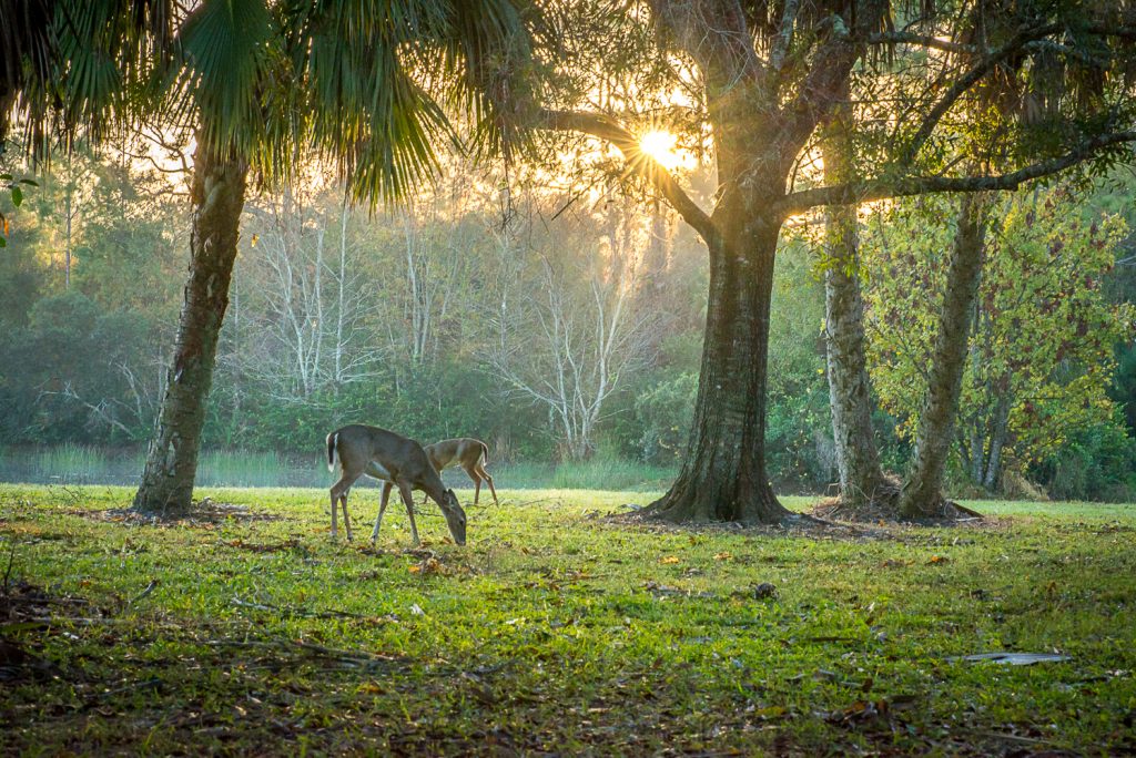 Photography Workshops in Palm Beach County