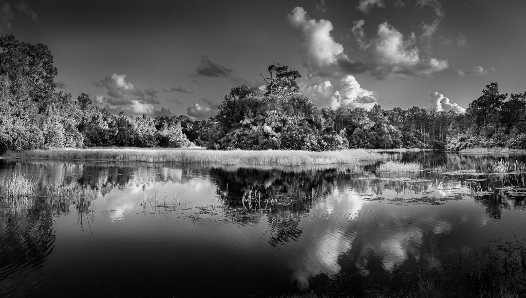 Black and White Photography Workshop
