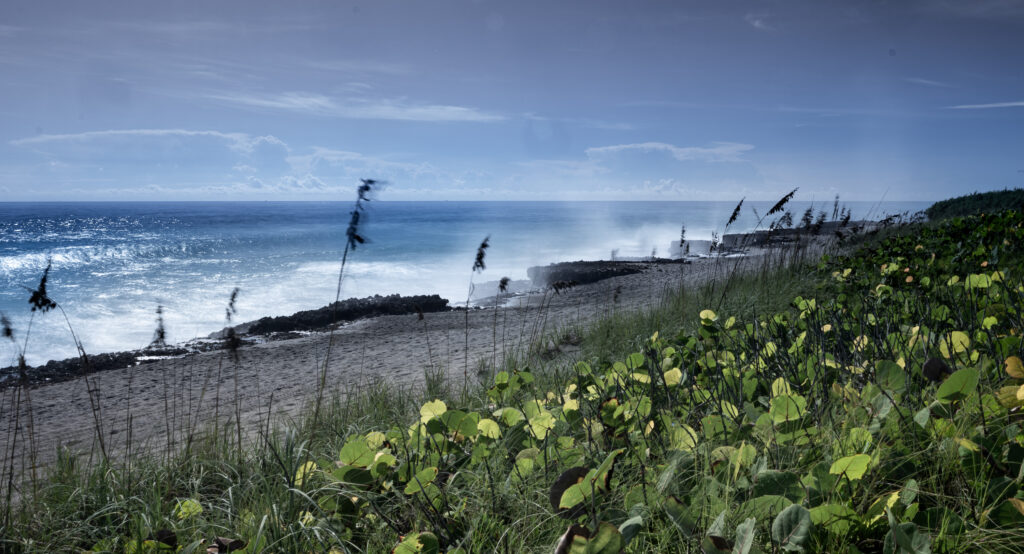 Camera Walk Jupiter Florida