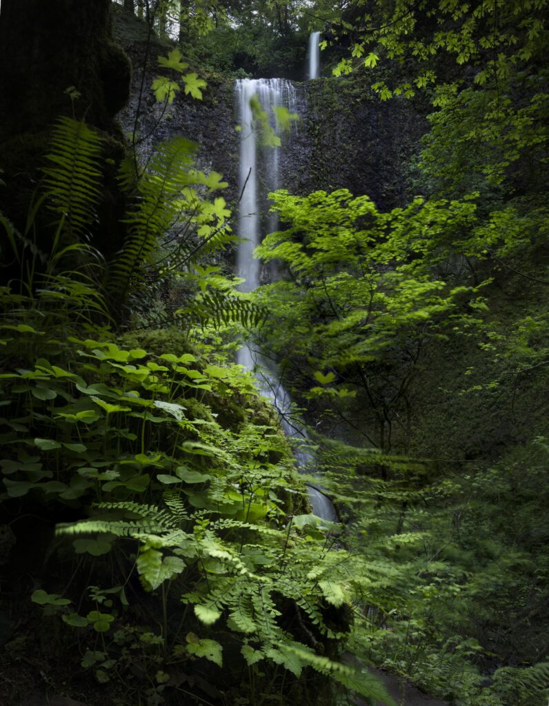 Waterfall Photography
