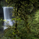 Water fall Photography