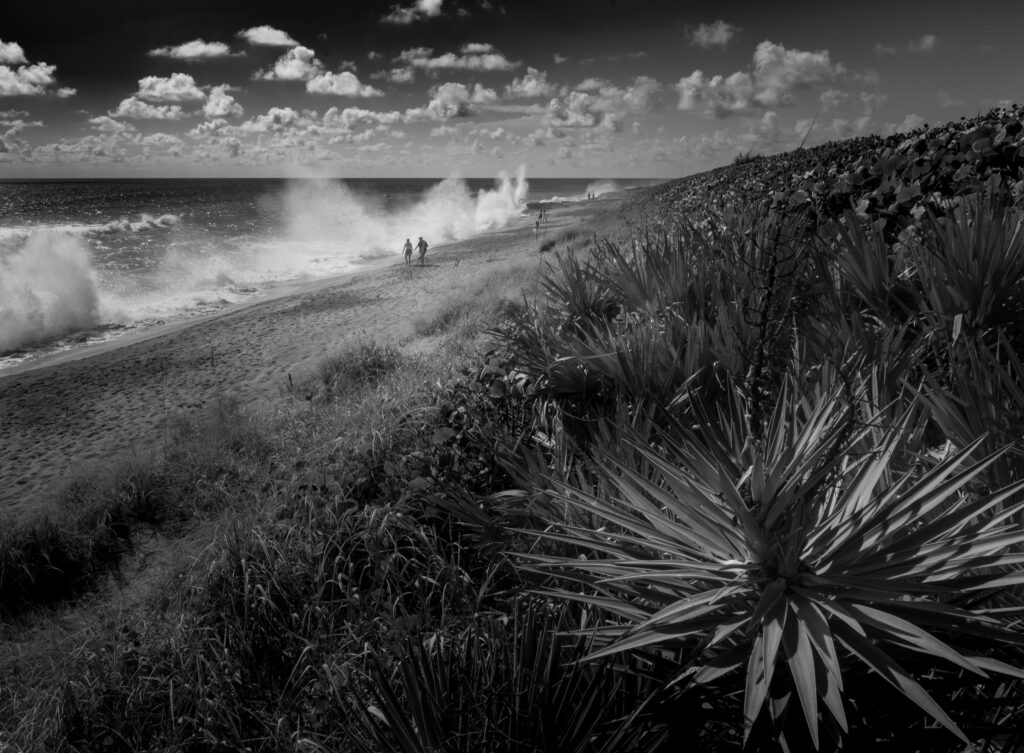 Blowing Rocks 
Jupiter Island
Waves Spray Flumes
