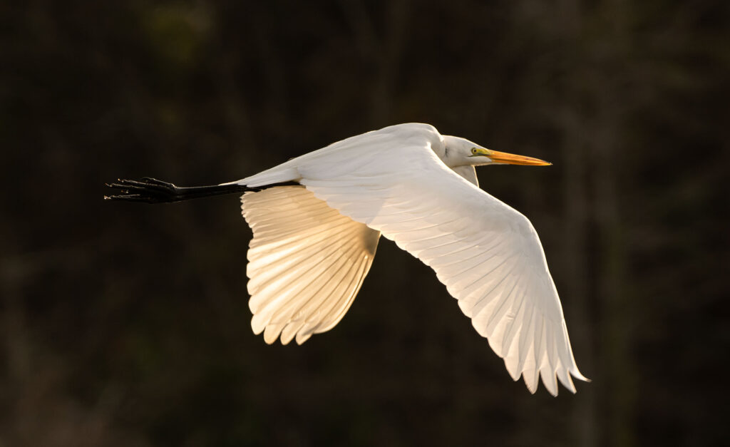 Fall Photography Course at Lighthouse ArtCenter, Jupiter Florida