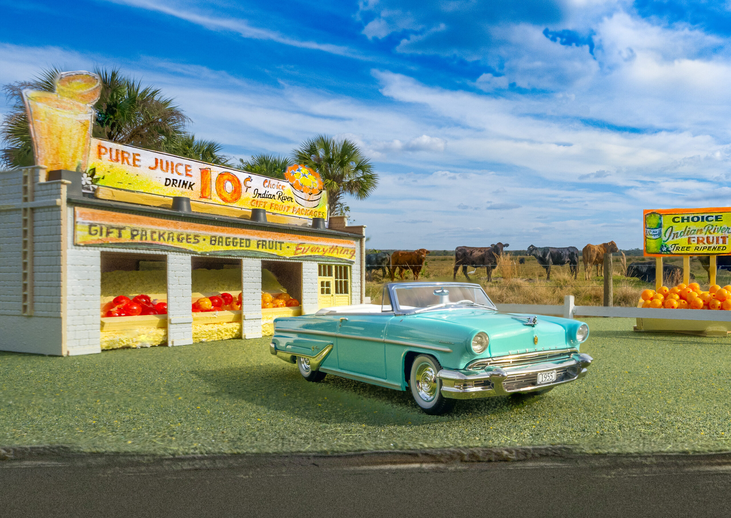 Florida Road Trip 1960
