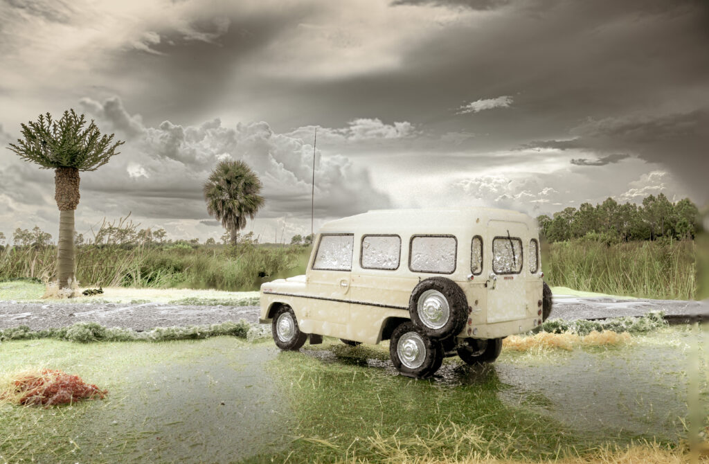 Florida Rain Storm
Pine Glades Natural Area
Everglades